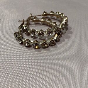 Elegant Silver Crystal Hoop Earrings